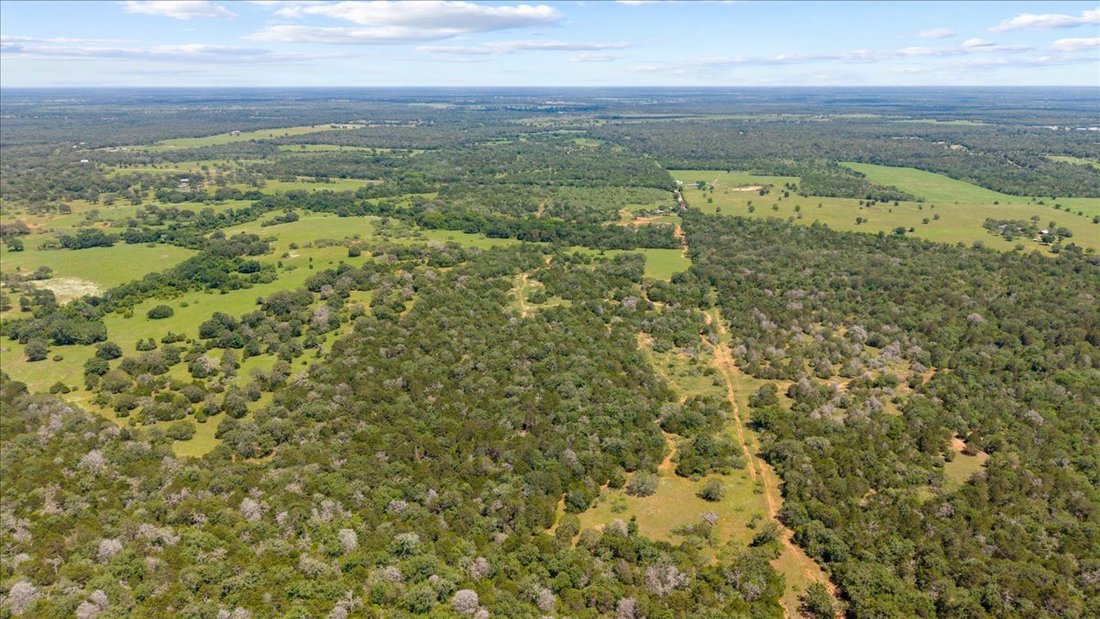 Farm Ranch in Rosanky, Texas, United States 4 - 17068970