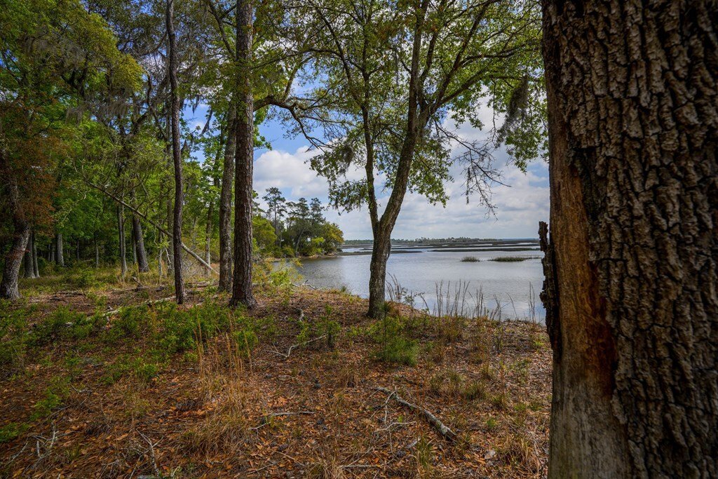 Land in Woodbine, Georgia, United States 2 - 18017569