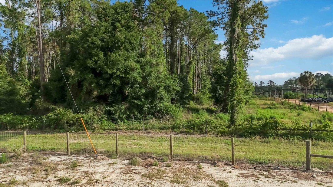 Land in Howey-in-the-Hills, Florida, United States 4 - 18017645
