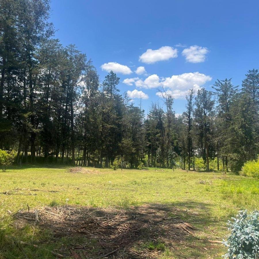 Land in Quito, Pichincha, Ecuador 4 - 18016721