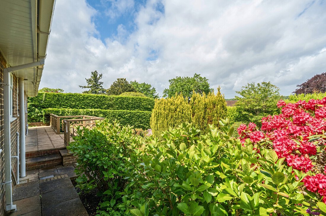 Bungalow en Almshouse Common, Haslemere, Inglaterra 4 - 18015687