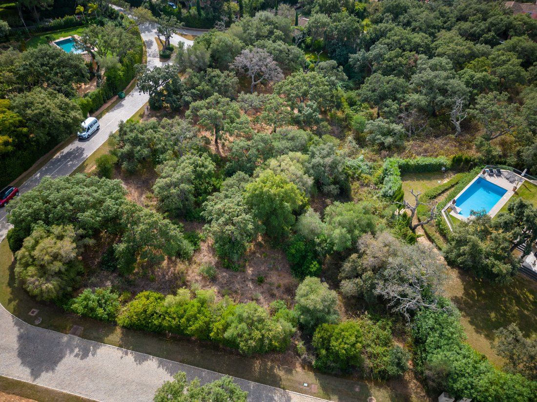 Terreno en Sotogrande, San Roque, Andalucía 3 - 12329588