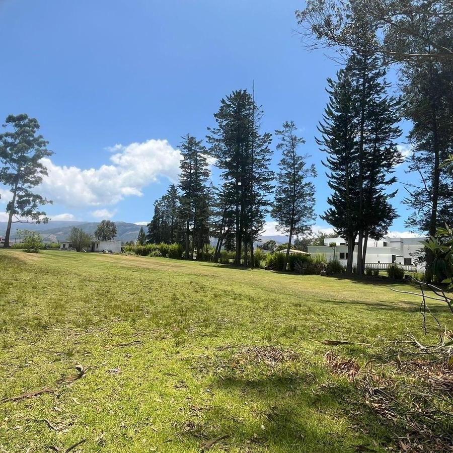 Land in Quito, Pichincha, Ecuador 1 - 18016721