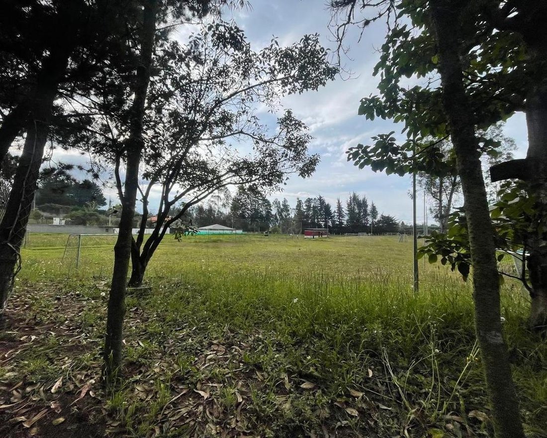 Land in Quito, Pichincha, Ecuador 5 - 18016729