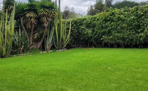 House in Quito, Pichincha, Ecuador 1