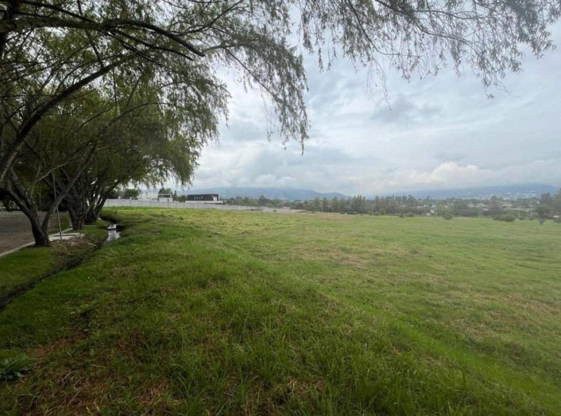 Land in Quito, Pichincha, Ecuador 2 - 18016779