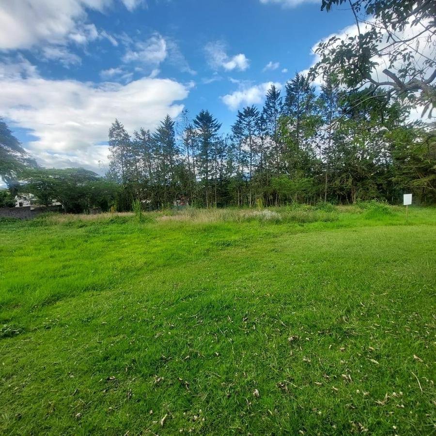 Land in Quito, Pichincha, Ecuador 1 - 18016755