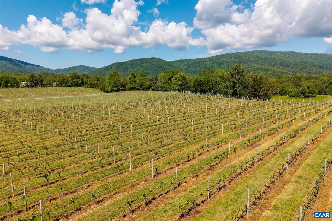House in Crozet, Virginia, United States 2 - 18015609
