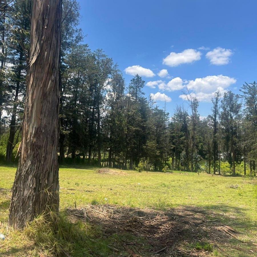 Land in Quito, Pichincha, Ecuador 5 - 18016721