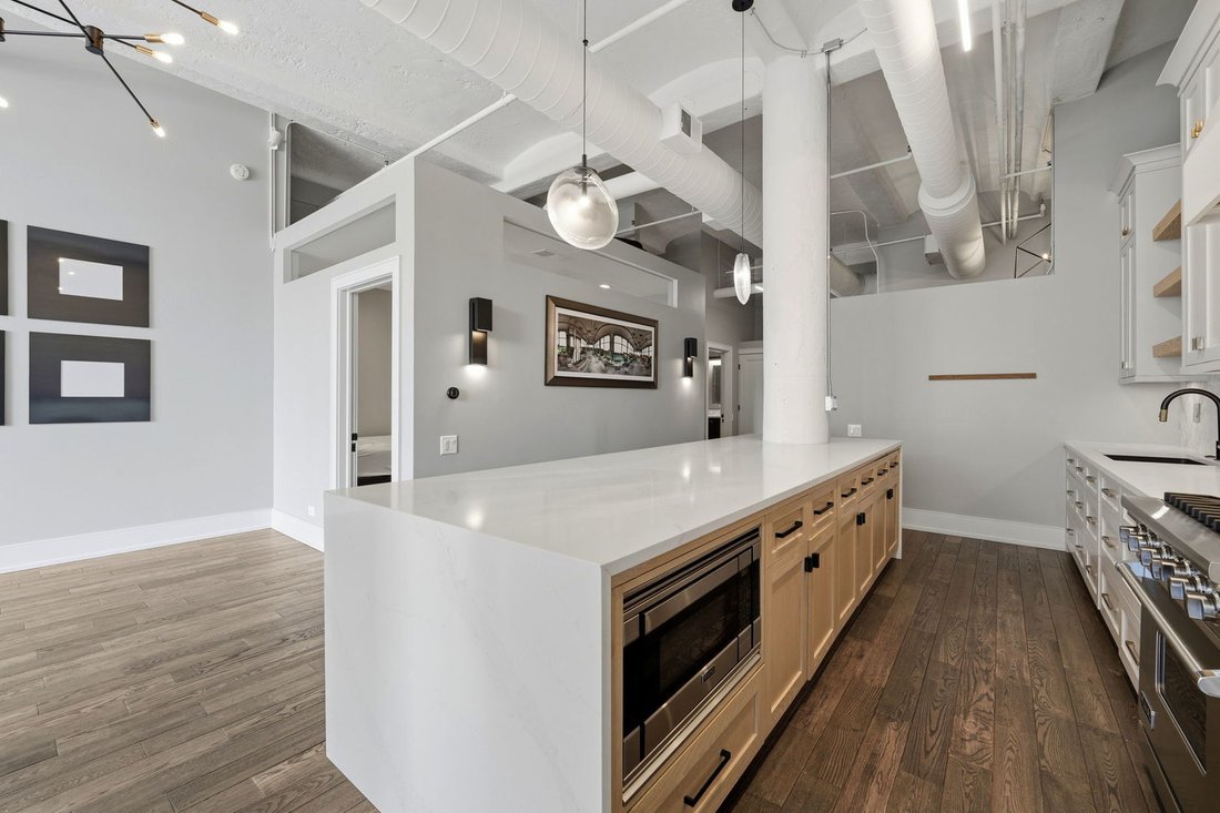Condo in Chicago, Illinois, United States 5 - 18020339