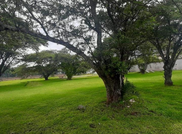 Land in Quito, Pichincha, Ecuador 5 - 18016782