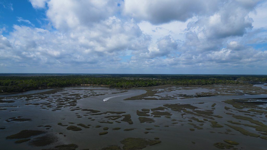 Land in Woodbine, Georgia, United States 3 - 18017569