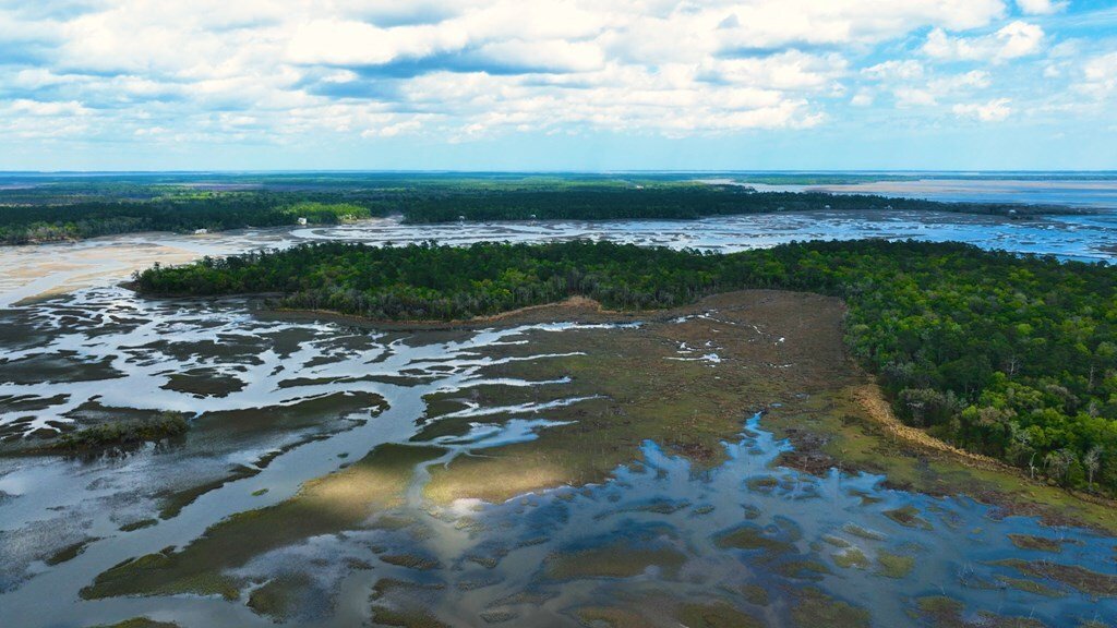 Land in Woodbine, Georgia, United States 4 - 18017569