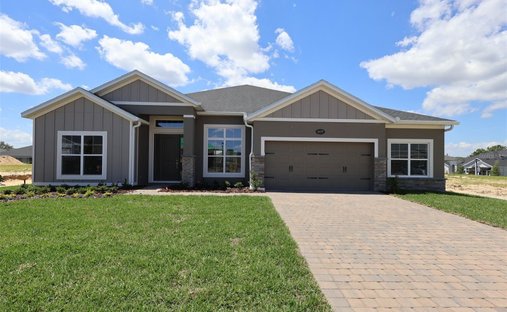 House in Apopka, Florida, United States 1