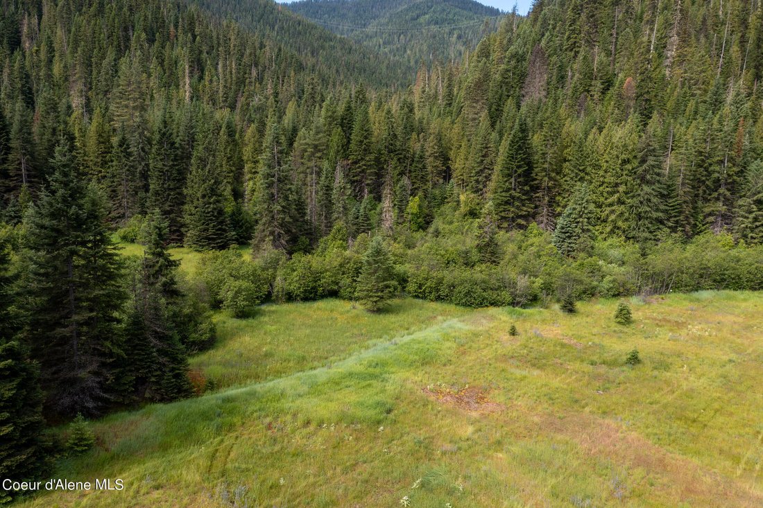 Terrain à Wallace, Idaho, États-Unis 4 - 18017655