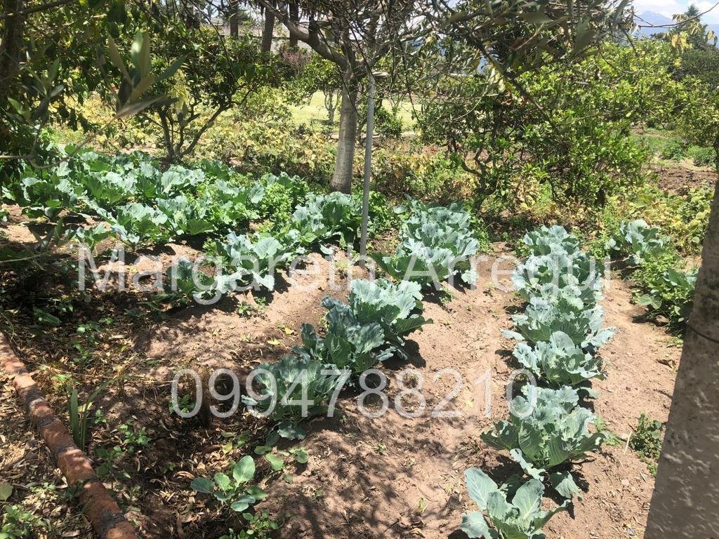 Land in Quito, Pichincha, Ecuador 3 - 18016750
