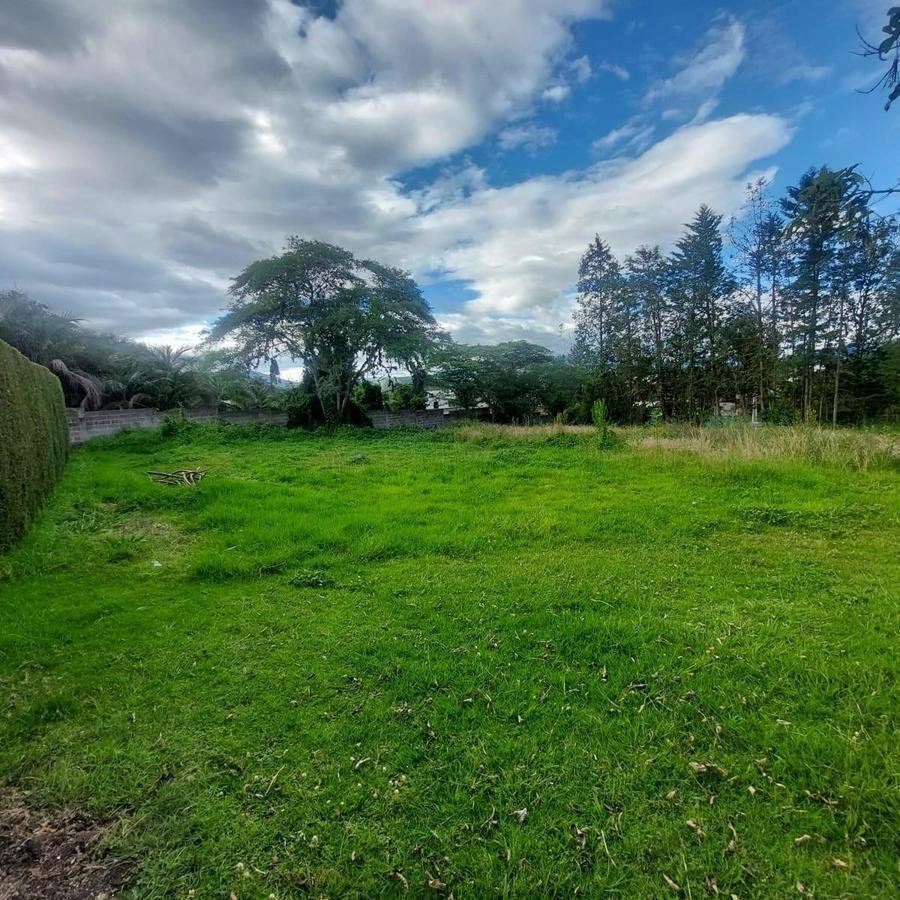 Land in Quito, Pichincha, Ecuador 2 - 18016755
