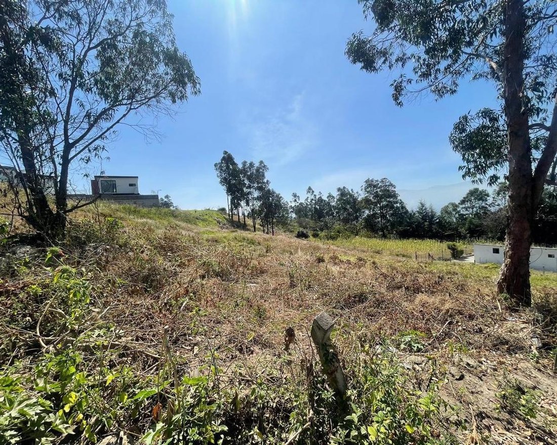 Land in Quito, Pichincha, Ecuador 3 - 18016738