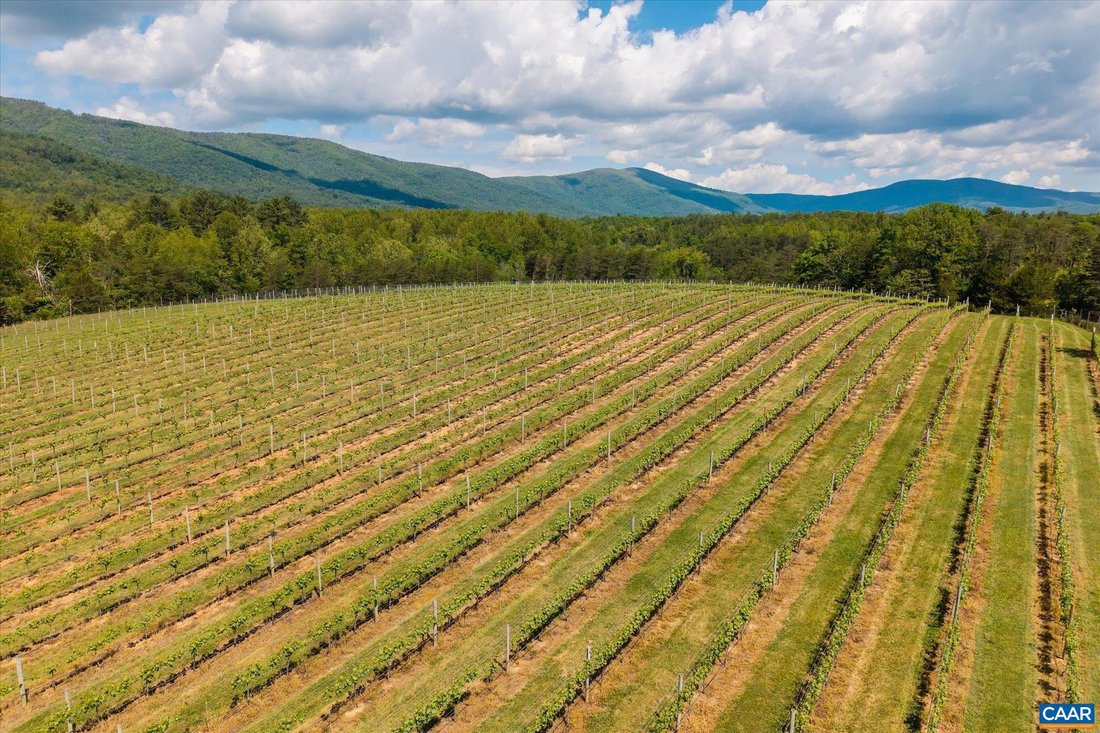 House in Crozet, Virginia, United States 3 - 18015609