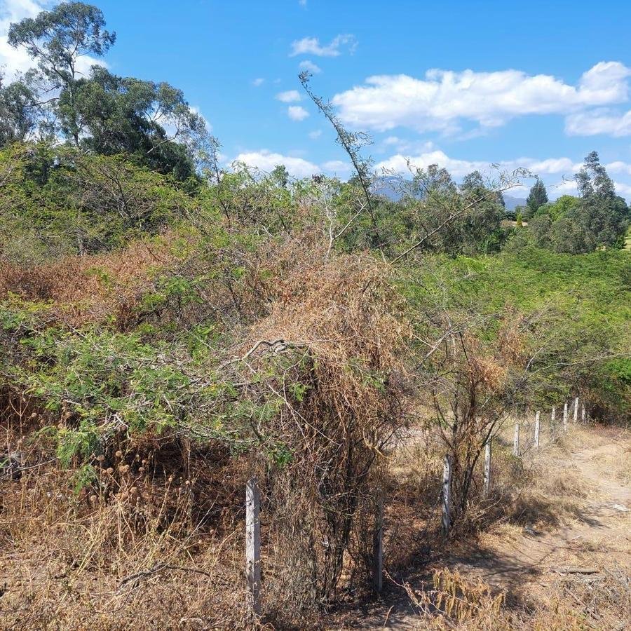 Land in Quito, Pichincha, Ecuador 2 - 18016766