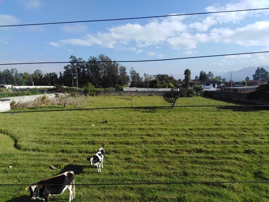 Terreno en Quito, Pichincha, Ecuador 1 - 18016748
