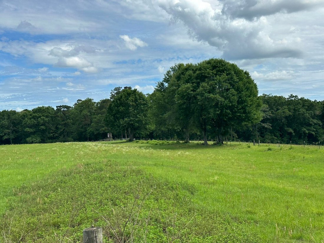 House in Florala, Alabama, United States 5 - 17811596