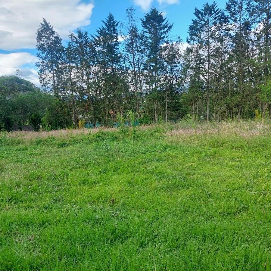 Land in Quito, Pichincha, Ecuador 4 - 18016755