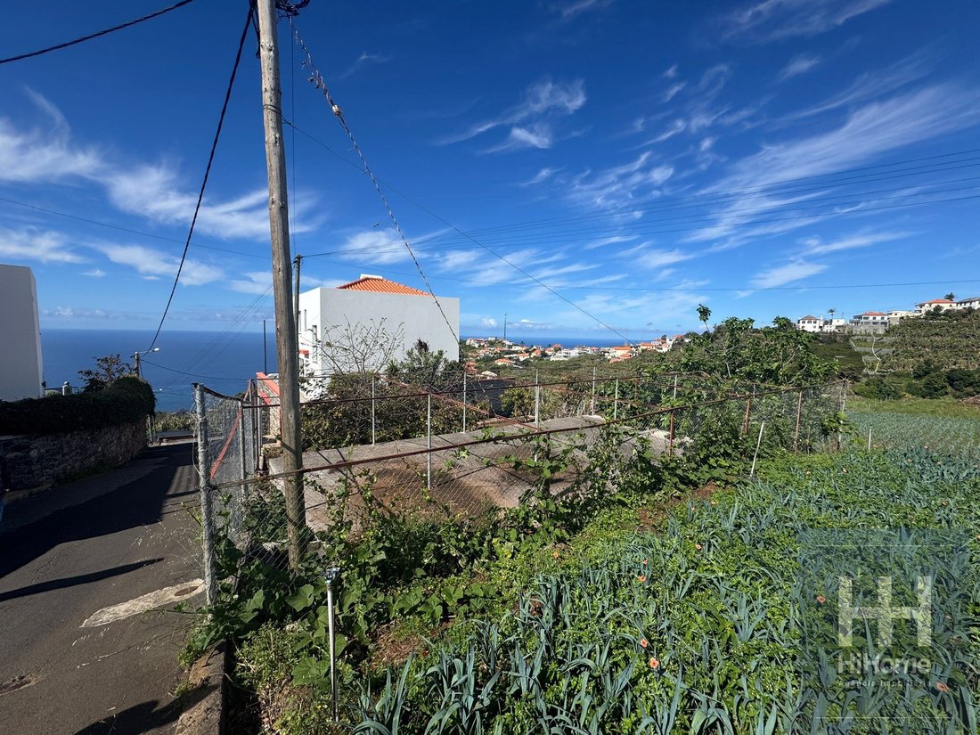 Land in Ponta do Sol, Madeira, Portugal 3 - 18021033