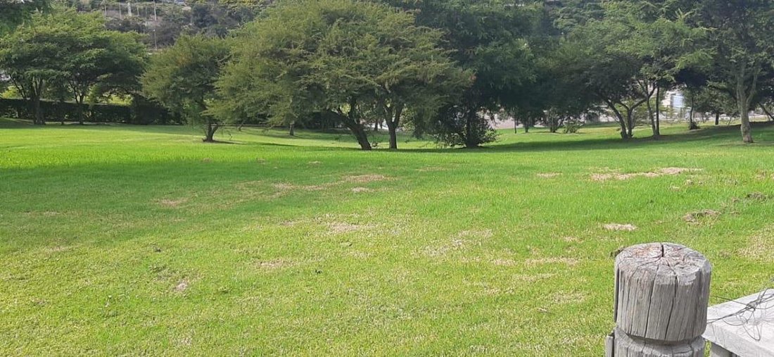 Land in Quito, Pichincha, Ecuador 1 - 18016739