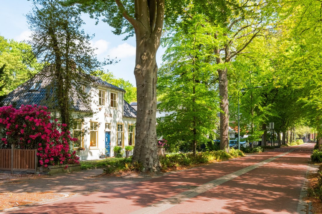 Villa in Bergen, North Holland, Netherlands 1 - 17299960