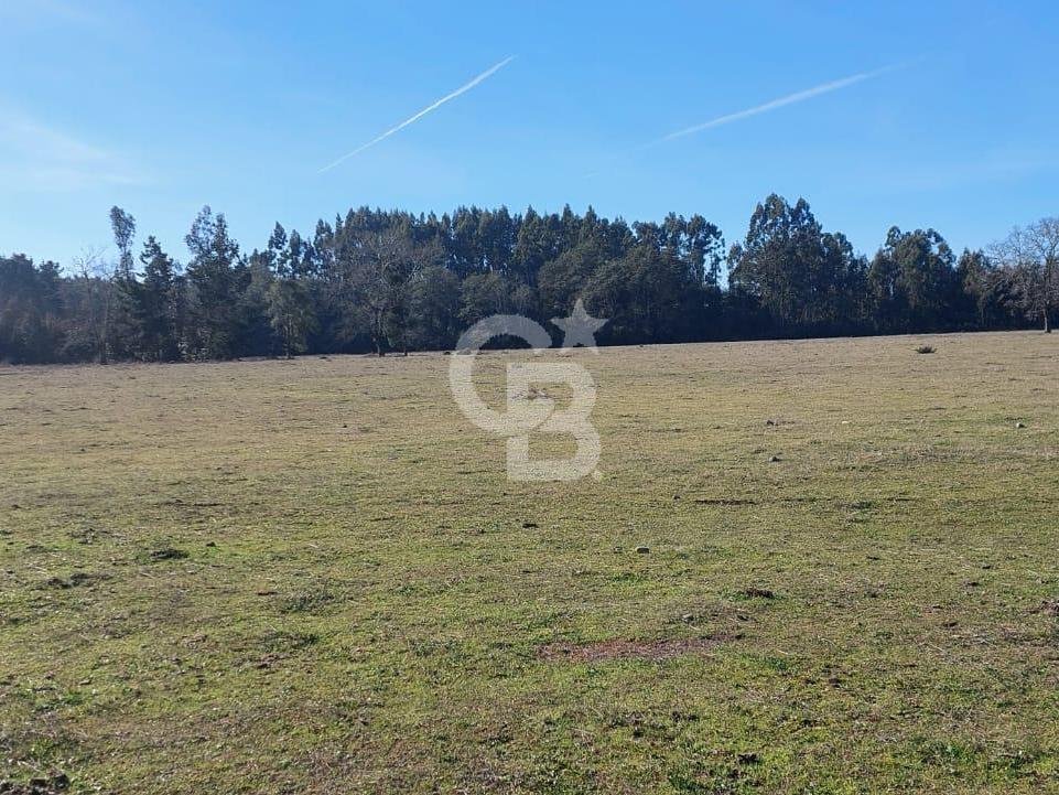 Estate in Freire, Araucania, Chile 5 - 18017242