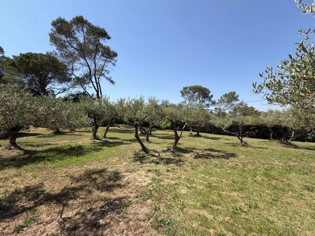 House in Carcès, Provence-Alpes-Côte d'Azur, France 5 - 17295192