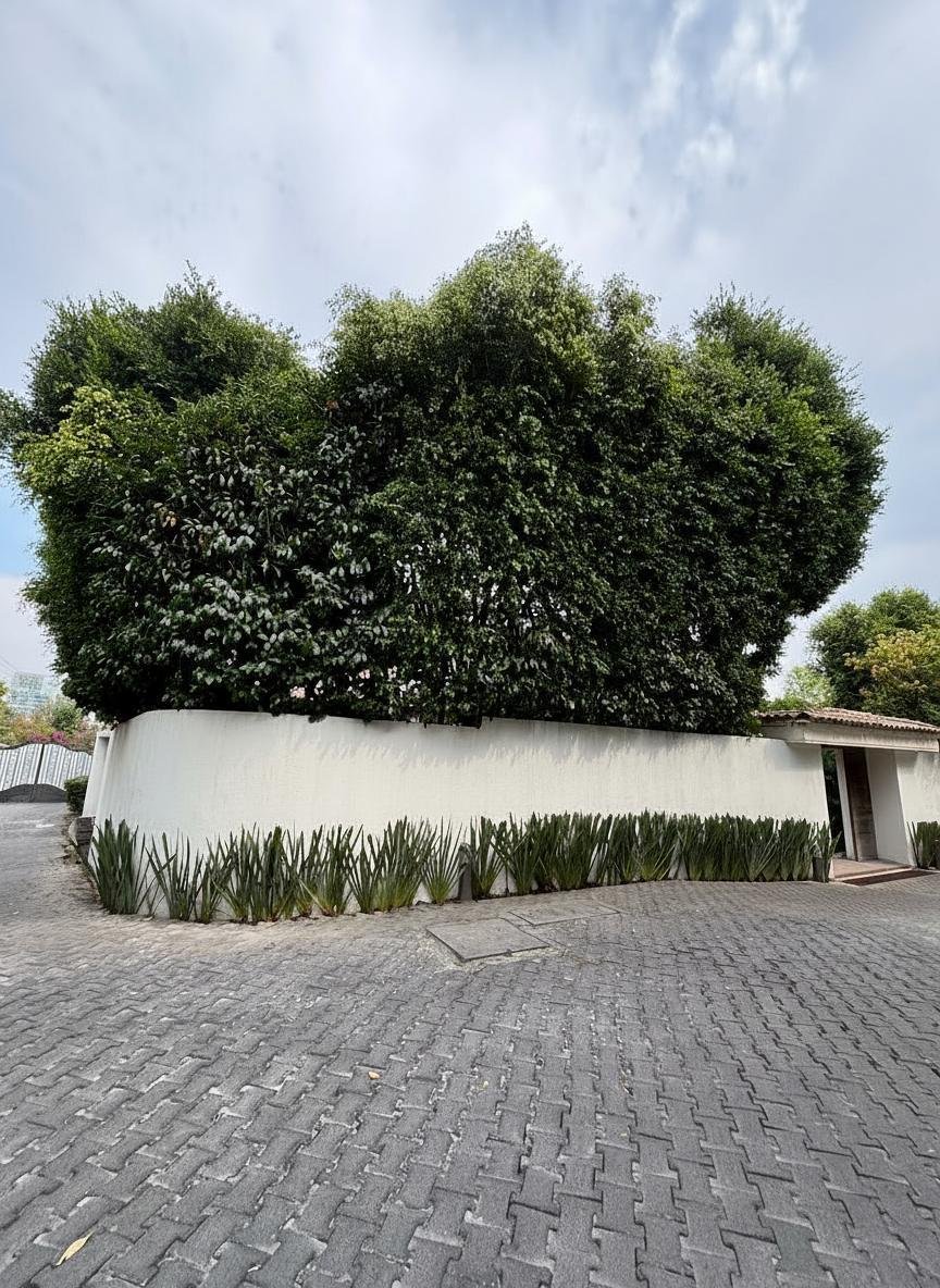 House in Mexico City, Mexico 2 - 18016754