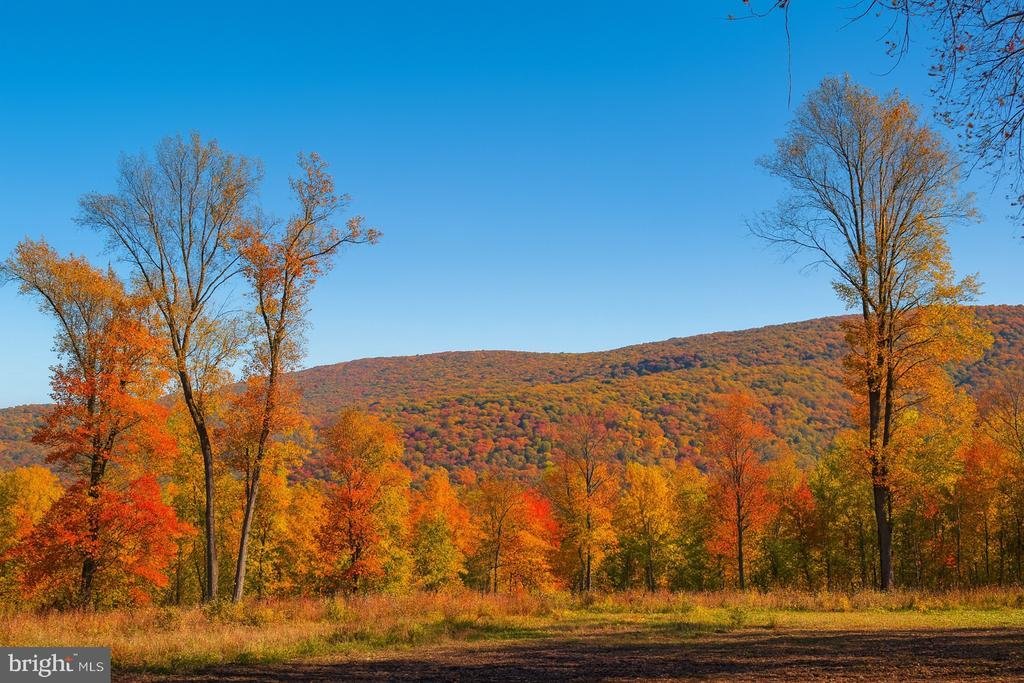 House in Linden, Virginia, United States 3 - 18017462
