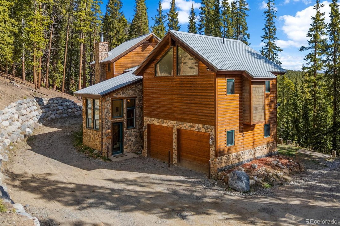 House in Fairplay, Colorado, United States 1 - 18015670