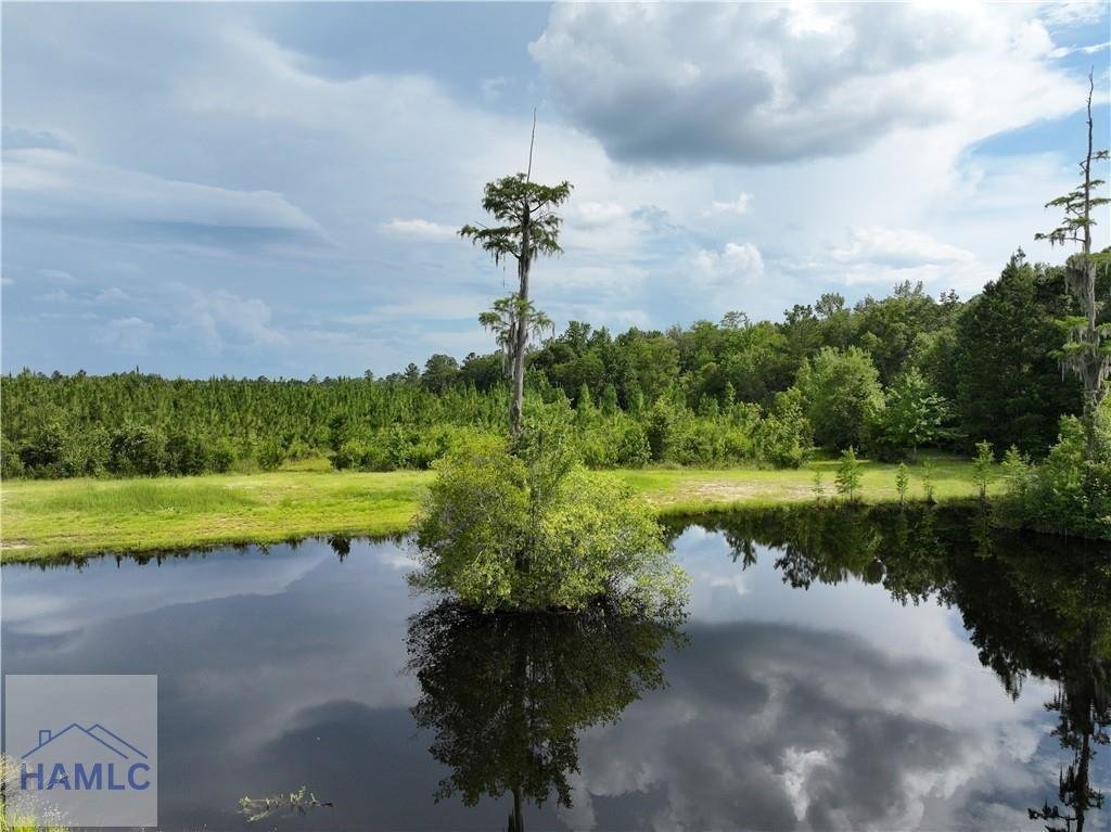 Land in Jesup, Georgia, United States 3 - 18017694
