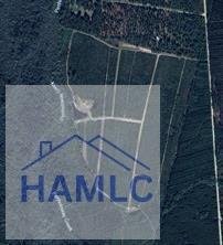 Land in Jesup, Georgia, United States 5 - 18017694