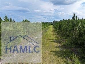 Land in Jesup, Georgia, United States 4 - 18017694