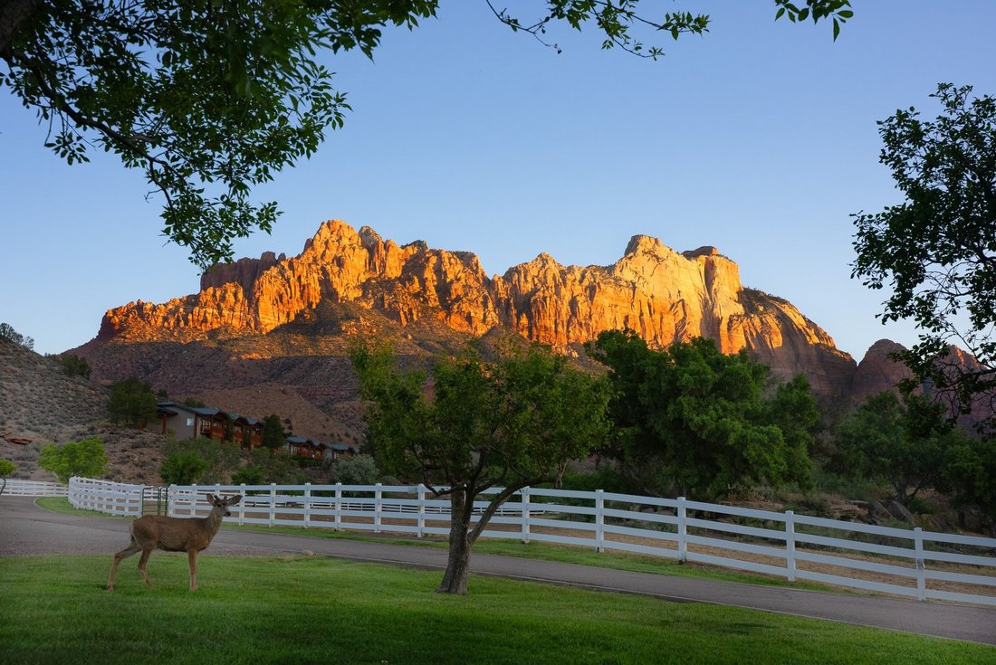 Farm Ranch in Hurricane, Utah, United States 1 - 18015423