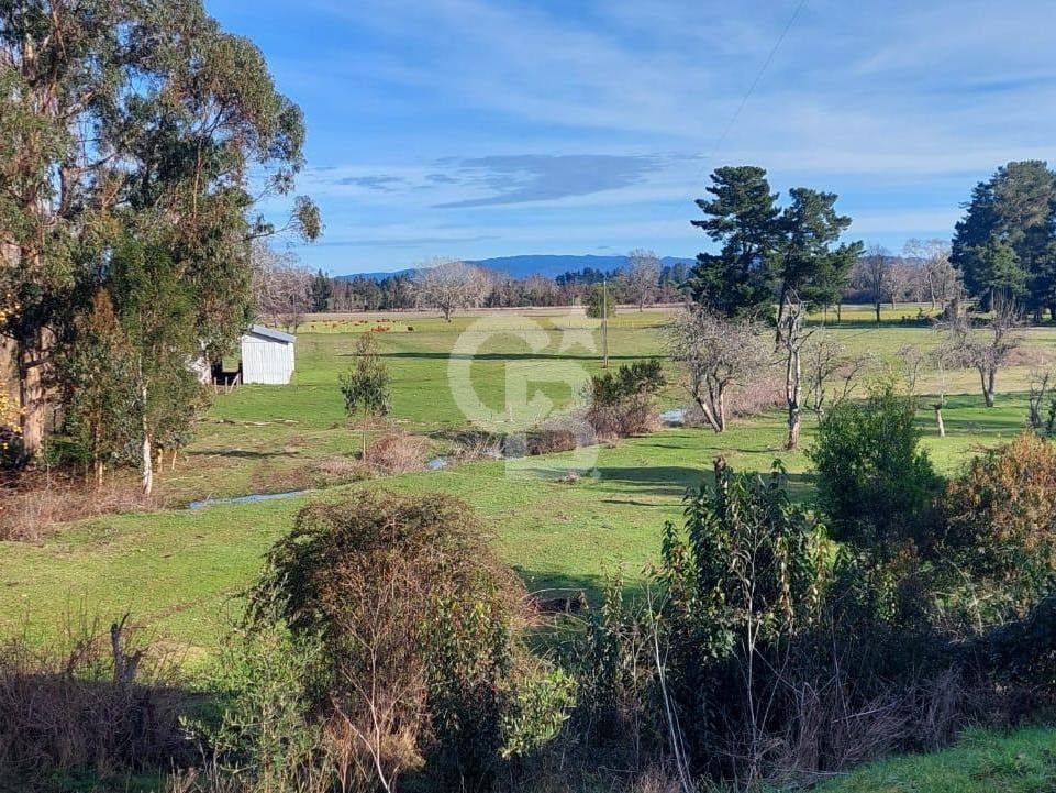 Estate in Freire, Araucania, Chile 4 - 18017242