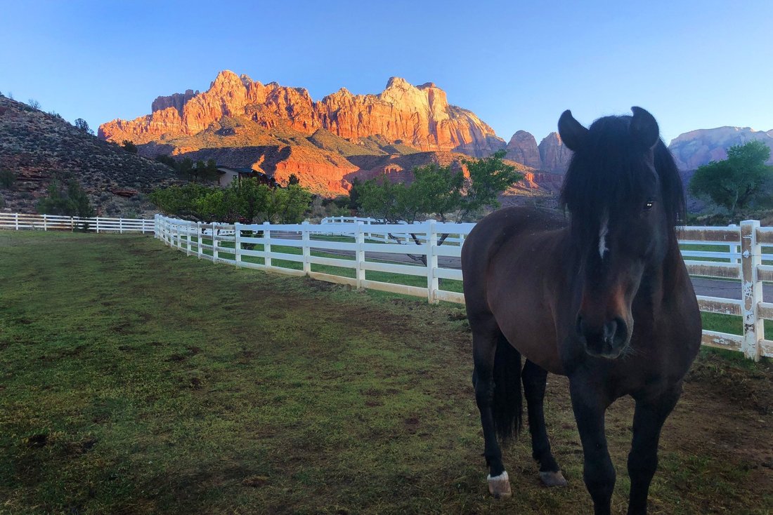 Farm Ranch in Hurricane, Utah, United States 5 - 18015423