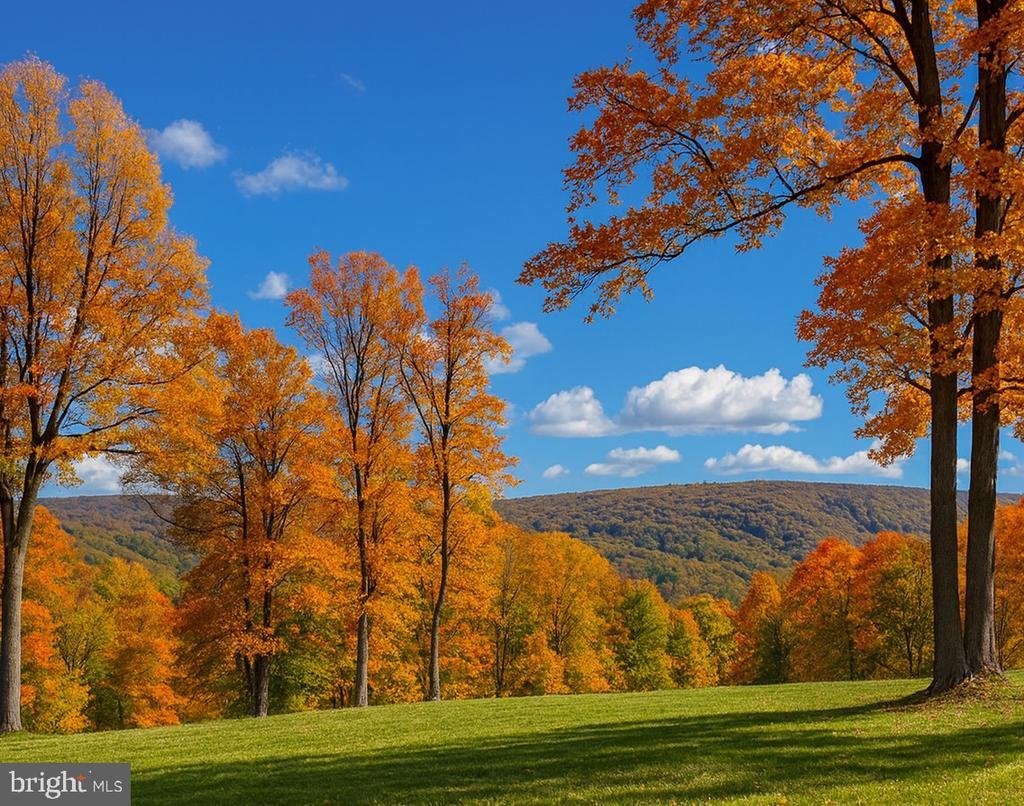 House in Linden, Virginia, United States 5 - 18017462
