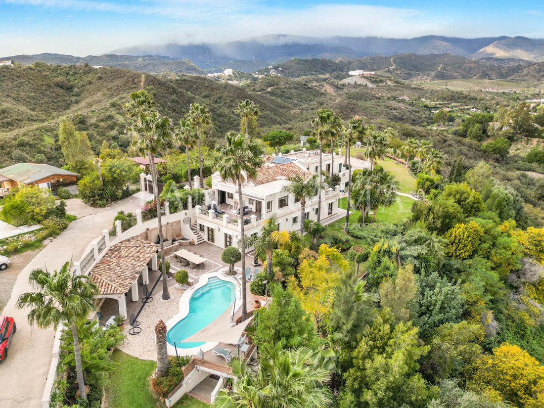 Villa in Estepona, Andalusia, Spain 5 - 14079107