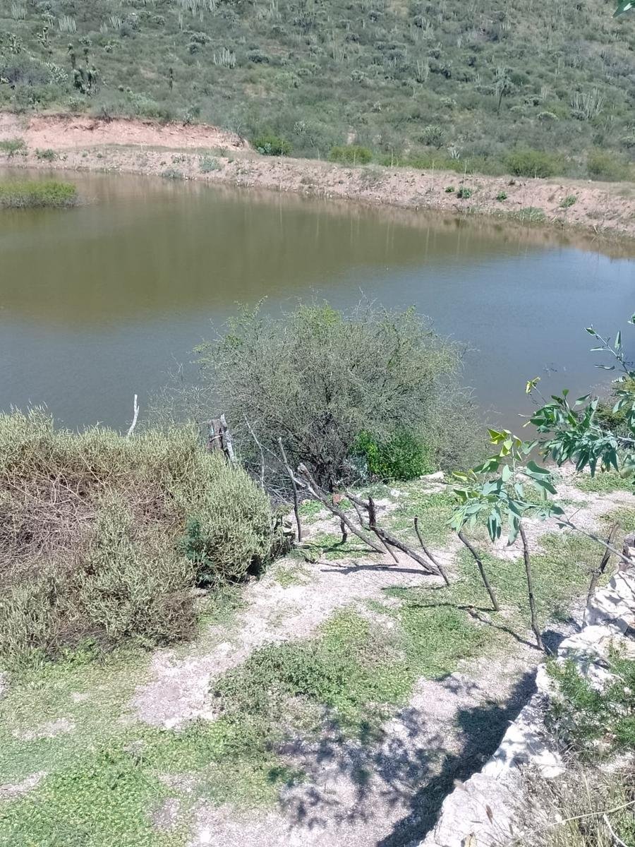 Land in Tolimán, Querétaro, Mexico 1 - 18015486