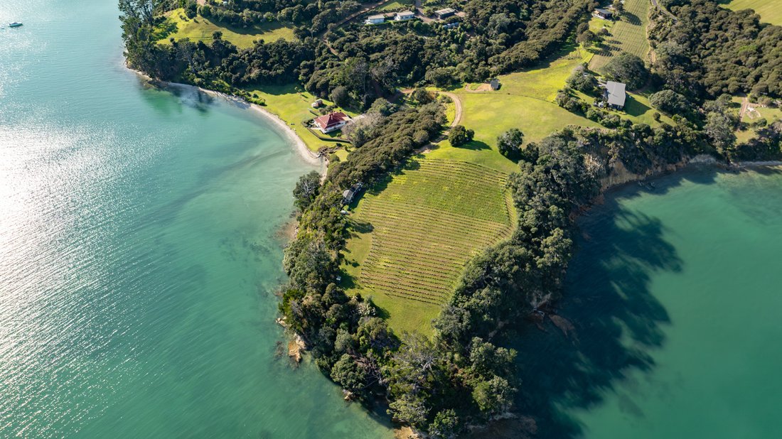 House in Waiheke Island, Auckland, New Zealand 5 - 18020399