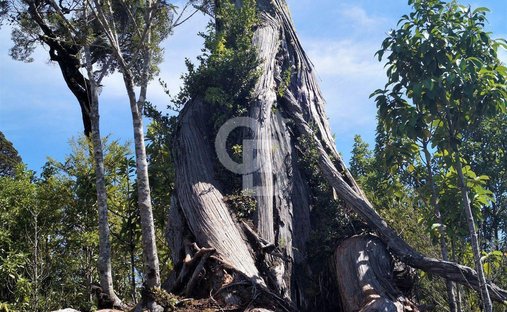 Tenuta a Rio Negro, Los Lagos, Cile 1