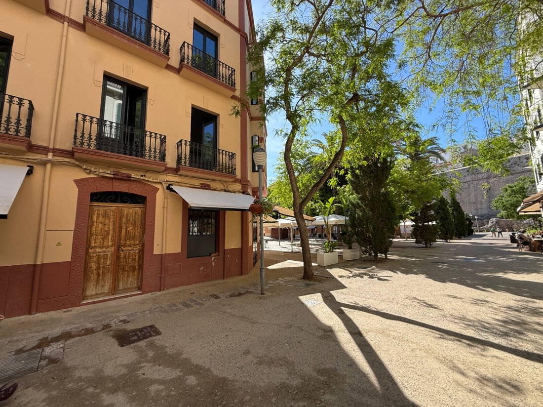 Apartment in Ibiza Town, Balearic Islands, Spain 2 - 18016816