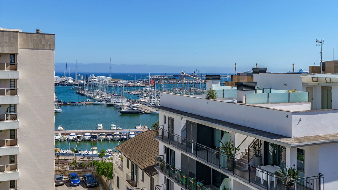 Apartment in Palma, Balearic Islands, Spain 1 - 18017065