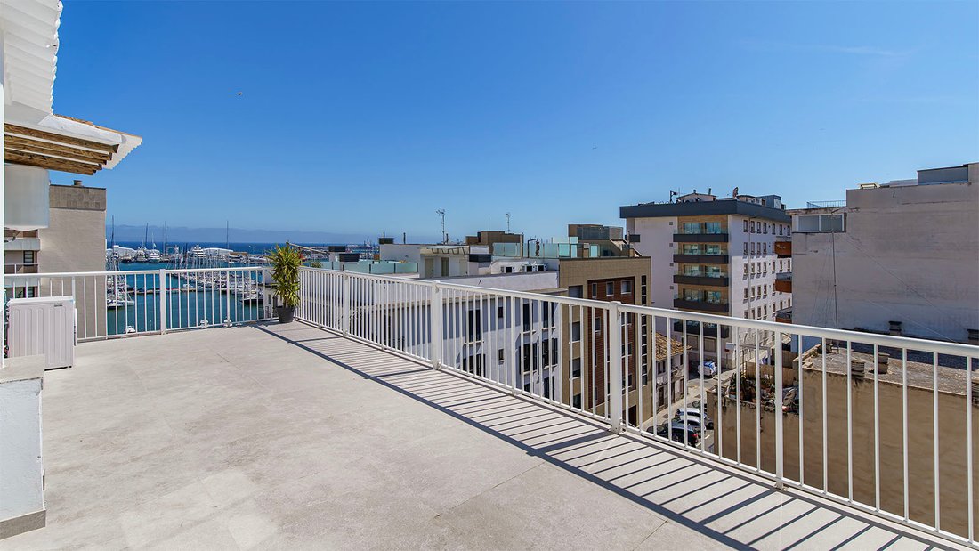 Apartment in Palma, Balearic Islands, Spain 3 - 18017065