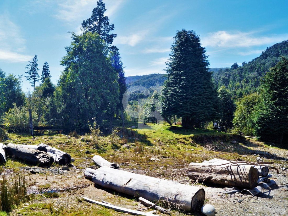 Finca en Rio Negro, Los Lagos, Chile 2 - 18016584